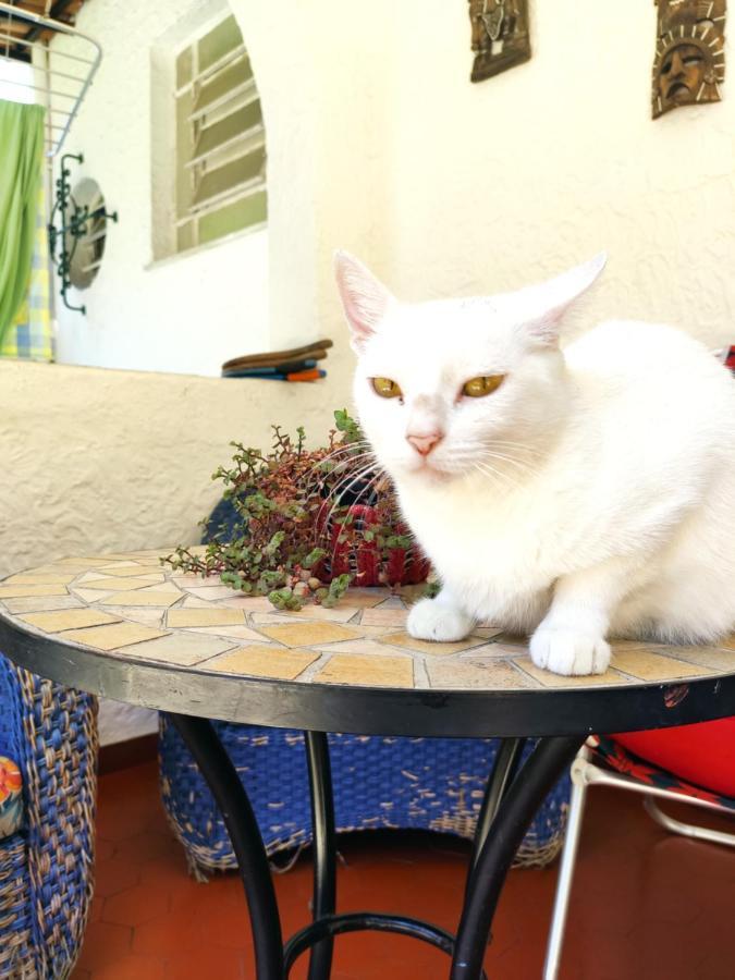 Hostal Maresias Do Leme *